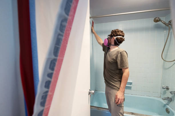  Leisure Village, NJ Mold Removal Pros