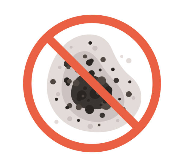 Best Mold-Related Health Consultation  in Leisure Village, NJ