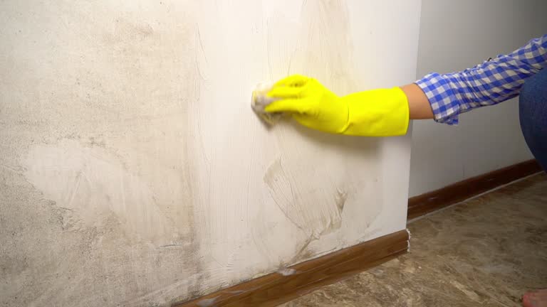 Mold Remediation for Rental Properties in Leisure Village, NJ
