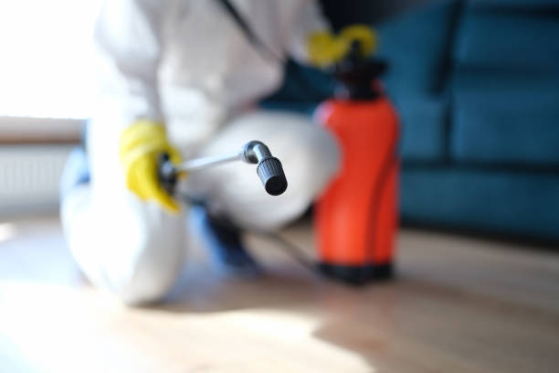Best Comprehensive Air Testing for Mold Contaminants  in Leisure Village, NJ