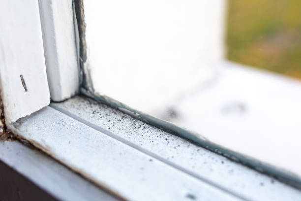 Best HVAC Mold Inspection and Cleaning  in Leisure Village, NJ