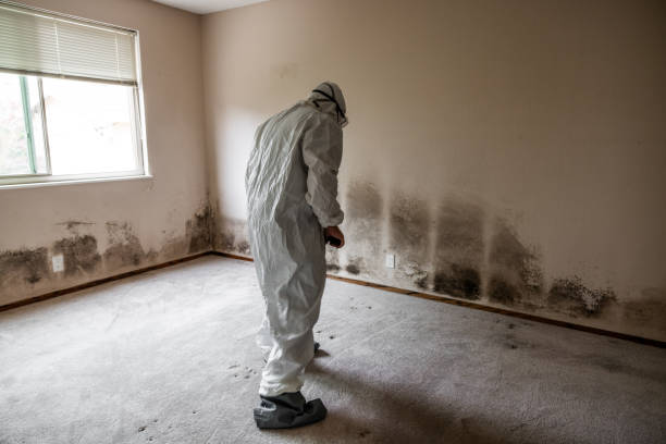 Mold Documentation for Insurance Claims in Leisure Village, NJ