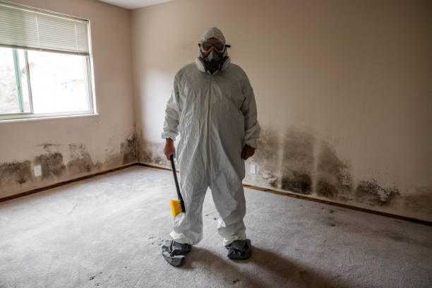 Best Emergency Mold Remediation  in Leisure Village, NJ